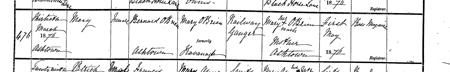 Source info: https://civilrecords.irishgenealogy.ie/churchrecords/images/birth_returns/births_1876/03058/2121011.pdf